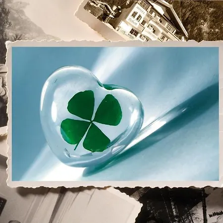 Sylvana's Wohlfuehl Mayrhofen