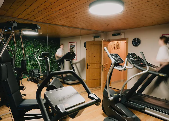 Hotel Sylvana's Wohlfuehl Mayrhofen